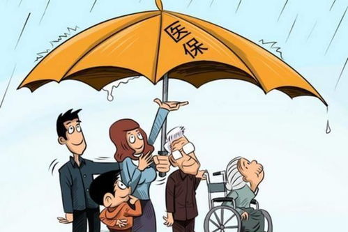 社保繳滿十五年中斷，退休前還需補繳嗎？權威解答來了